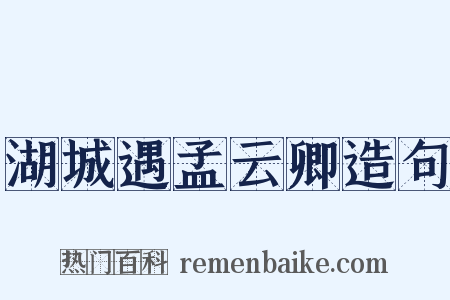 湖城遇孟云卿造句是什么意思的图片